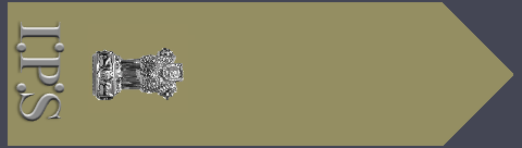 Shoulder Badges - No insignia